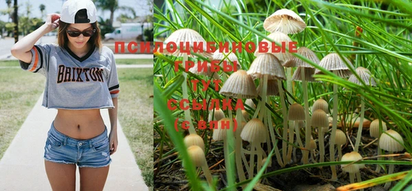 кокаин колумбия Абаза