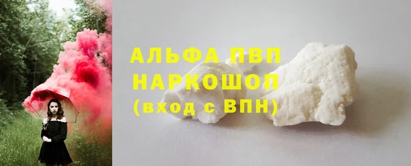 jwh Пересвет